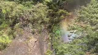the rainbow on the fukuroda fall . The waterfall in my home town after a big typhoon.