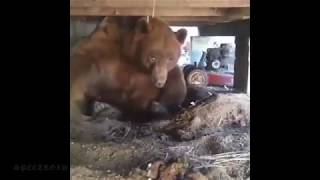 Вот откуда произошло выражение "срать на тебя хотел"