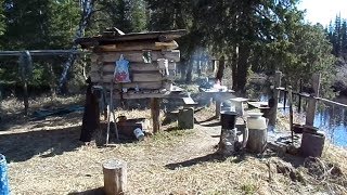Лесная изба в глухой тайге