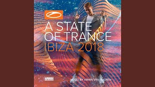 Petra (Mix Cut)