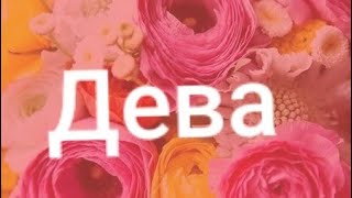 Дева Таро - гороскоп с 1 по 7 июля 2019 г.