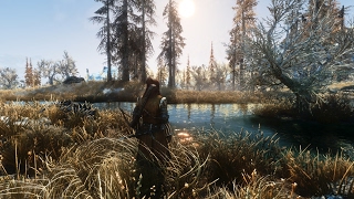 Skyrim:melhores mods para ps4 ate agora
