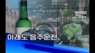 이래도 음주운전 부산MBC20190325
