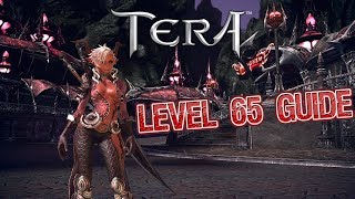 Tera Console - What to Do at Level 65 | Step-by-Step Tutorial