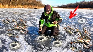 НАДУБАСИЛ с ОДНОЙ ЛУНКИ!!! ЛОВЛЯ на ЦВЕТНУЮ ЛЕСКУ ОКУНЯ и ПЛОТВЫ на ЗИМНЕЙ РЫБАЛКЕ