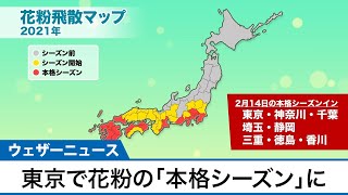 東京など1都7県で花粉の「本格シーズン」に