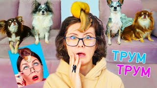 Это самые тупые лайфхаки Трум Трум для животных! Не повторяй эти лайфхаки для питомцев никогда!