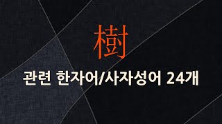樹(나무 수,심을 수)에 관한 한자어/사자성어 24개