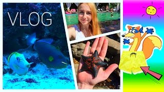VLOG | Съемка под Водой | КРАЖА ЖЁЛТЫХ ТРУСОВ!!! O_o