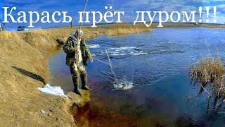 Рыбалка на паук подъемник. Рыбалка 2019. Рыбалка на карася. Карась клюет как из пулемета.