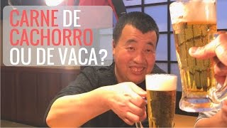 CARNE DE CACHORRO NO JAPÃO? - MQD TOLOUD