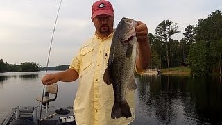 The Mojo Rig for Fishing Grass (How To)