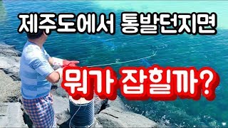 남자1호 낚시 \ 통발낚시 대박 제주도에 통발을 던지면 뭐가잡힐까? fish trap