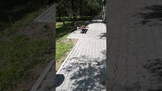 Хабаровский край верхнебуреинский район поселок Чегдомын