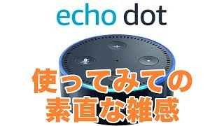 【Amazon Echo Dot】とりとめのない感想いろいろ | スキルとか認識精度とか