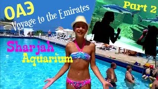 ШАРДЖА / Пляж и бассейны / Идем в Аквариум / SHARDJAH / Beach and pools / Aquarium