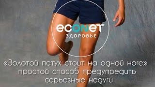 Упражнение " Золотой петух стоит на одной ноге" - ОМОЛОЖЕНИЕ организма!