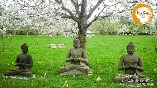Nhạc thiền phật giáo giúp tinh thần an nhiên, thanh tịnh - Buddhist Music