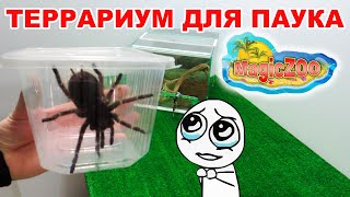 Как сделать террариум для паука птицееда. Террариум своими руками. Необычный питомец дома. DIY.