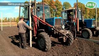 Садоводство в Липецкой области.