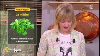 Produit du jour : la mâche - La Quotidienne la suite