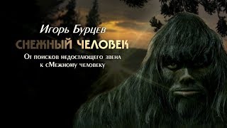 Снежный человек - от поисков недостающего звена к сМежному человеку
