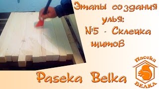 Этапы создания улья: №5 - Склейка щитов