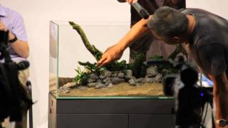 Мастер-класс Такаси Амано (Takashi Amano) «Природный аквариум» 04 июля 2011г. в Москве (Часть 3)