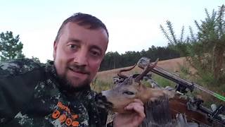 Best of chasse à l'Arc
