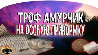 МЕДВЕЖКА ТРОФОВ РАЗДАЕТ?! ● РОЗЫГРЫШ ● Русская Рыбалка 4