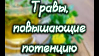 Травы для потенции