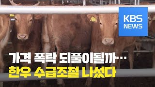 한우 사육 급증에 또 가격 폭락 우려…“개체 수 조절해야” / KBS뉴스(News)