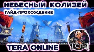 TERA - Небесный Колизей (гайд и прохождение)