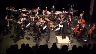Kalevi Aho: Concerto for Viola and Chamber Orchestra