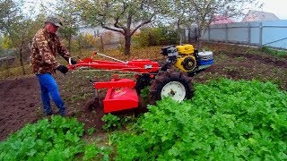 ГИБРИДНЫЙ МОТОБЛОК ИЛИ БЕНЗОКОСА, что сделают с горчицей осенью.