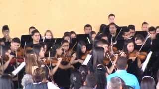 5ta Sinfonía de Ludwig Van  Beethoven   1er Mov