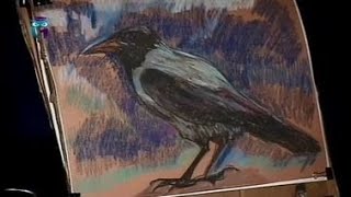 Уроки рисования (№ 68) пастелью. Учимся рисовать голубя и ворону