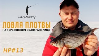 Ловля плотвы на безмотылку по последнему льду: НР#13