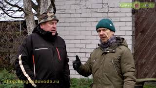 Фундук (лещина) привитый на медвежий орех (лещину турецкую)