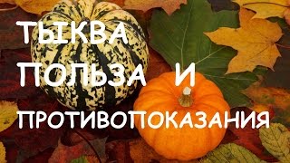 Тыква. Польза и вред для организма.