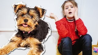 КОРОЧЕ ГОВОРЯ -  мне купили СОБАКУ ! Скетчи от Яна Шоу и мама