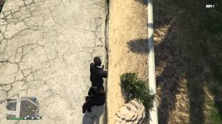 Grand Theft Auto woman poops money