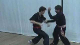 Southern Praying Mantis Kung Fu (Chow Gar): Techniques