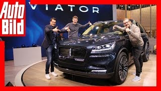 Die Import-Stars von New York (2018) Die Top 3+1 (Georgs Kracher)