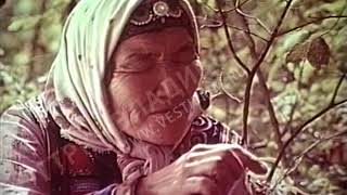 "Легенда Уссурийской тайги"