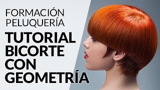 Tutorial bi-corte con geometría