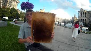 Этот Украинский Улей Продуктивный и Лучший!!! Номер Один!