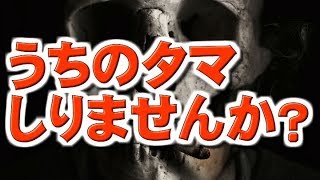 【怖い話　朗読】うちのタマしりませんか？