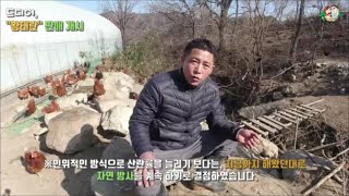 ?? 드디어, "황태란" 판매 개시-황태란 맛평가단님 맛 평가 부탁드립니다-귀농한 특전사의 농장