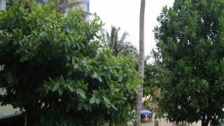 Шри-Ланка, Gampaha District, Негомбо - Topaz Beach Hotel 2-Star
